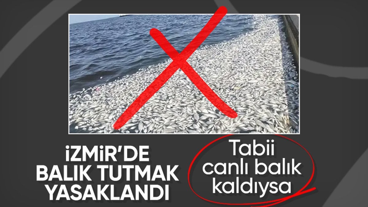 İzmir Körfezi’nde balık tutulmaması uyarısı: Ceza uygulanacak