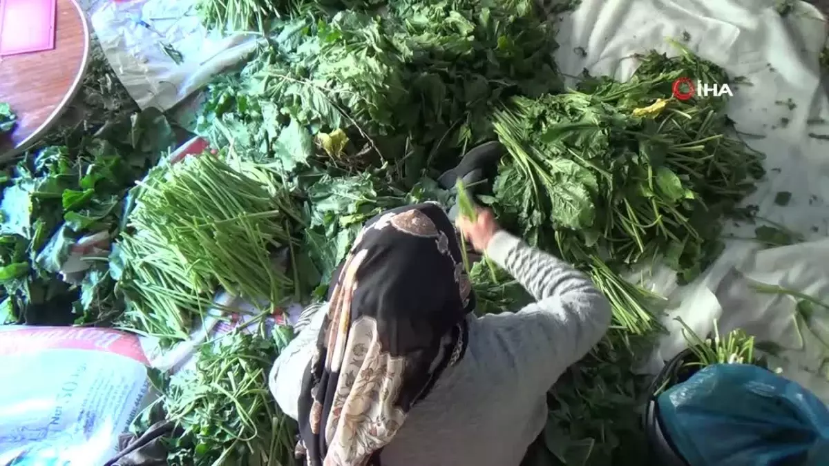 Bayburt’ta Kış Hazırlıkları Başladı